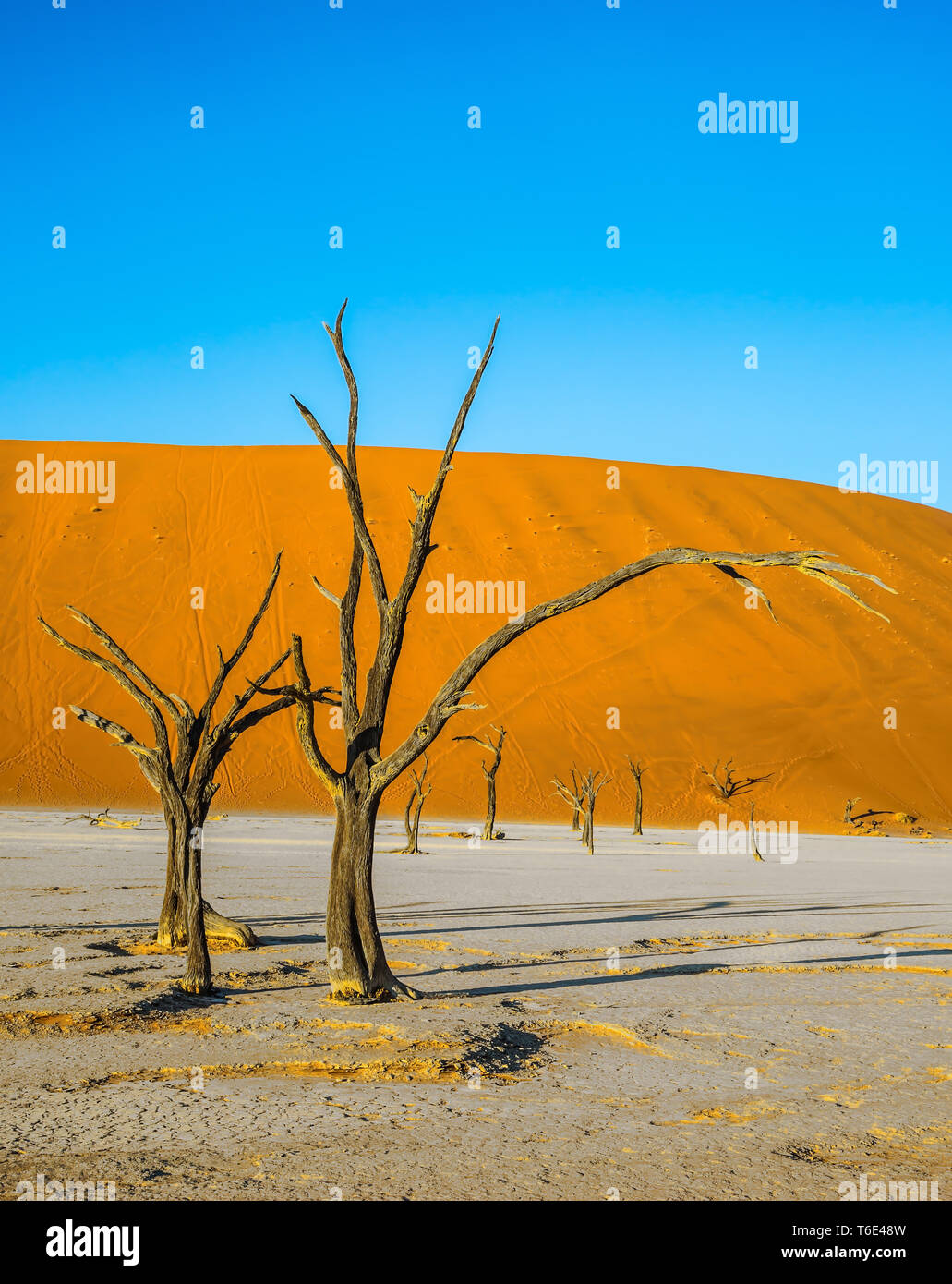 Das Konzept der exotischen Reisen Stockfoto