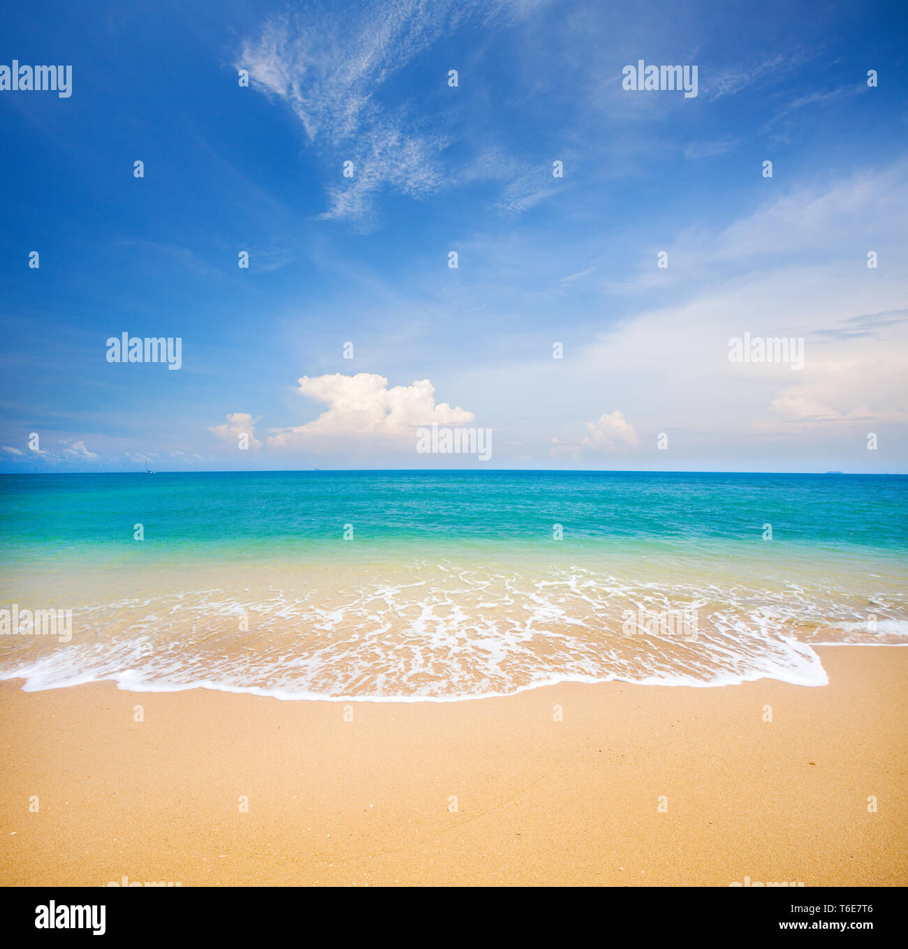 Strand und das tropische Meer Stockfoto