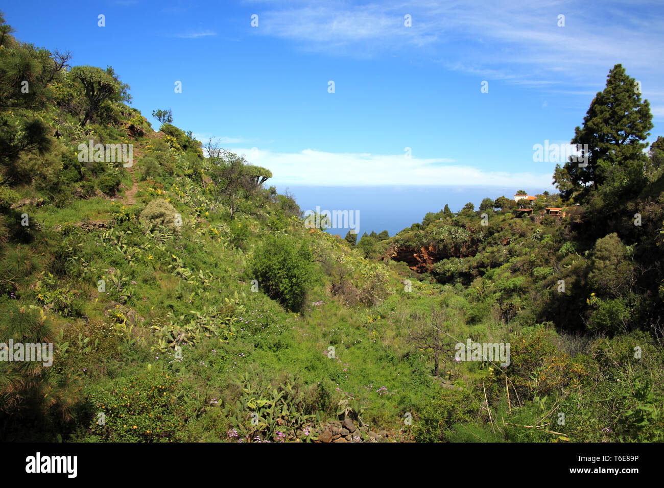 Wanderung von Las Tricias zu Santo Domingo de Garafia Stockfoto