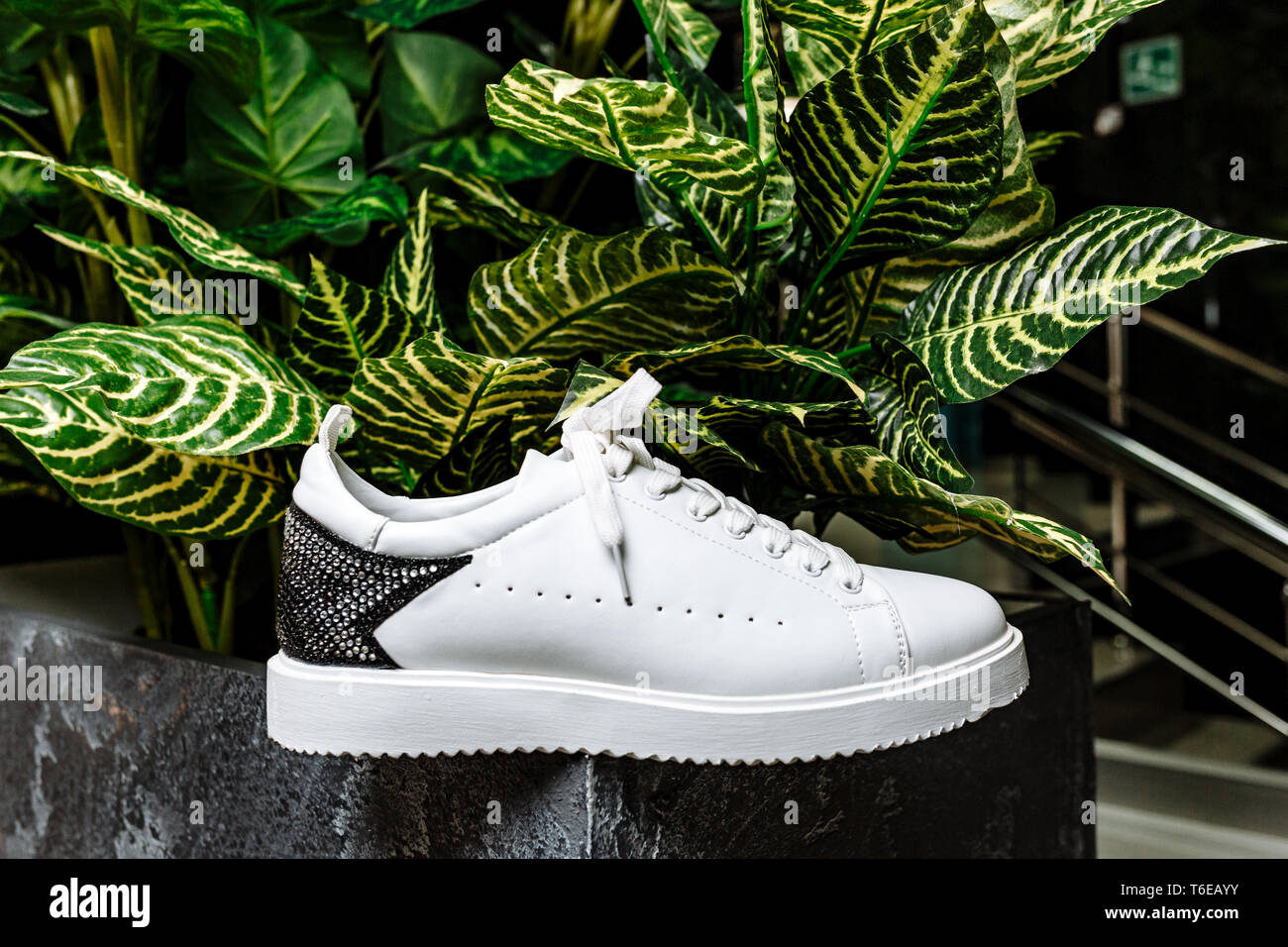 Elegante weiße Sneaker mit einem Stern Ornament aus Glitzersteinchen auf dem Hintergrund gegen die bunten Blätter der Pflanze Stockfoto