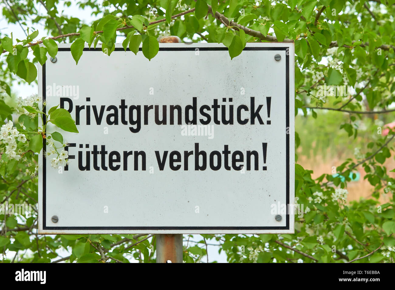 Schild mit der Aufschrift Privateigentum, das Füttern verboten Stockfoto