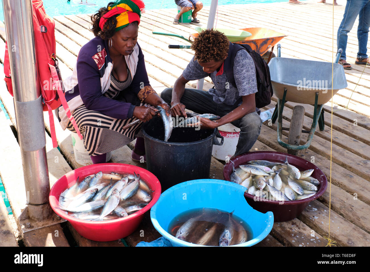 Frisch gefangenen Fisch in Vorbereitung zum Verkauf in Santa Maria, Insel Sal, Kap Verde, Afrika Stockfoto