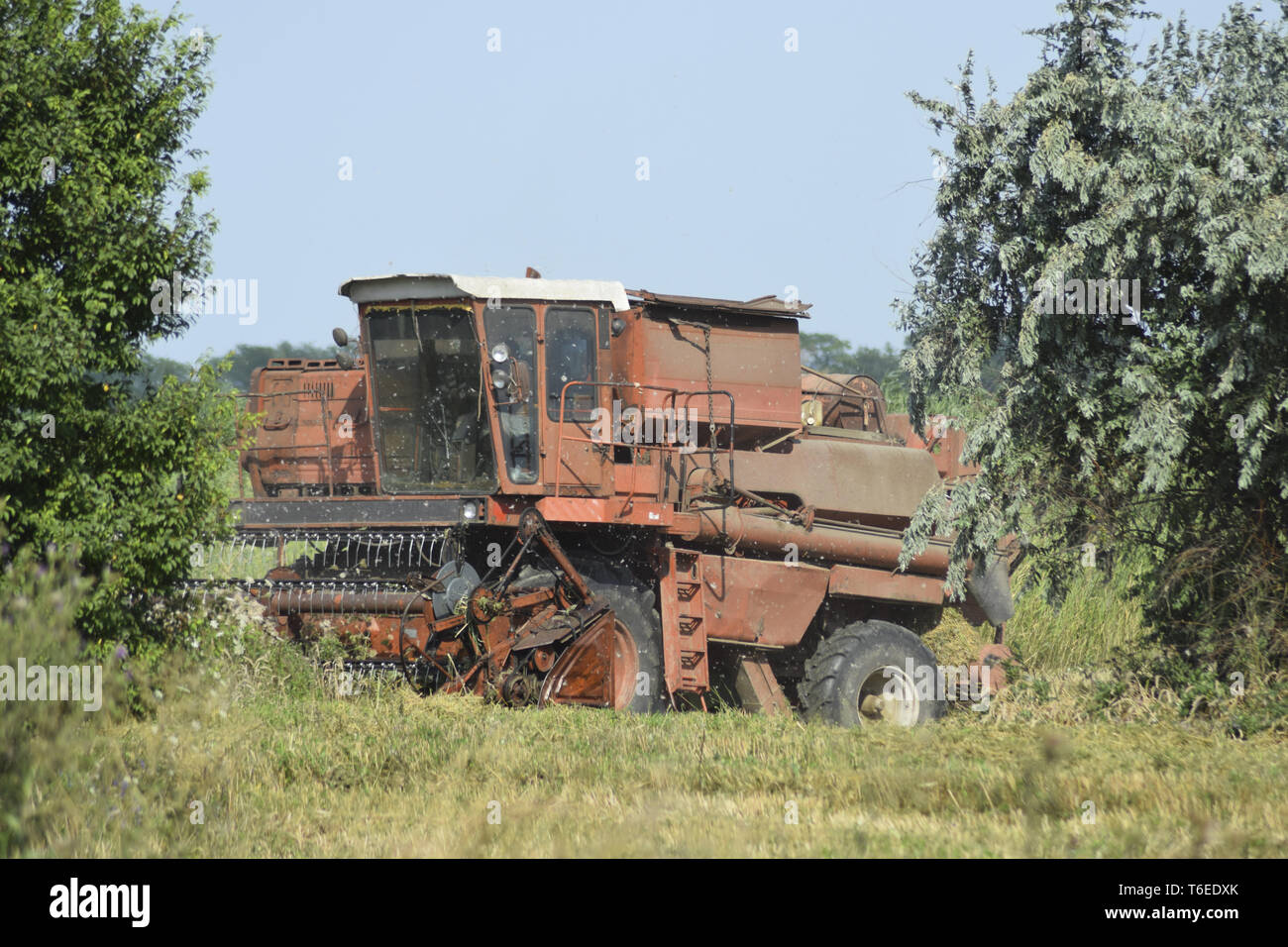 Alten rostigen Mähdrescher. Stockfoto
