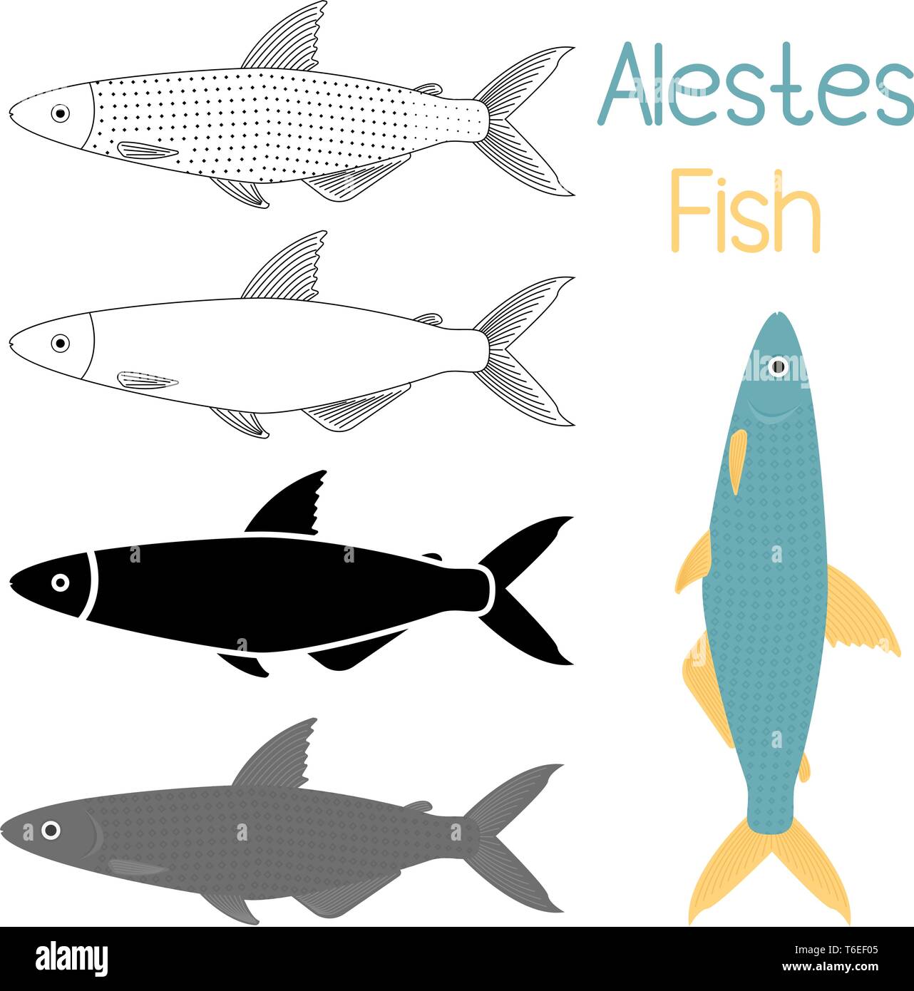 Fisch Icon Set, Alestes liebrecht ii oder Alestes ansorgii Vector Illustration Stock Vektor