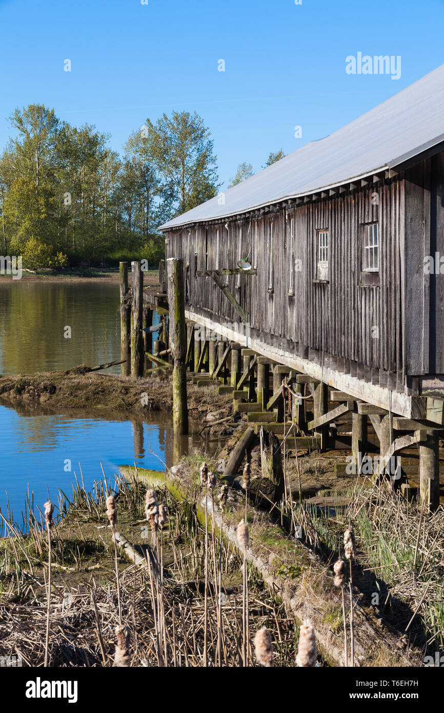 Historisches Gebäude, das von der Britannia Werft montiert auf Pfählen am Ufer des Fraser River in British Columbia Steveston Stockfoto