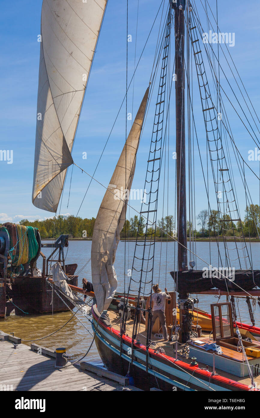 Das Trimmen der Segel Segelschiff Vorsehung vor dem ersten Charter Reise der 2019 Saison Stockfoto