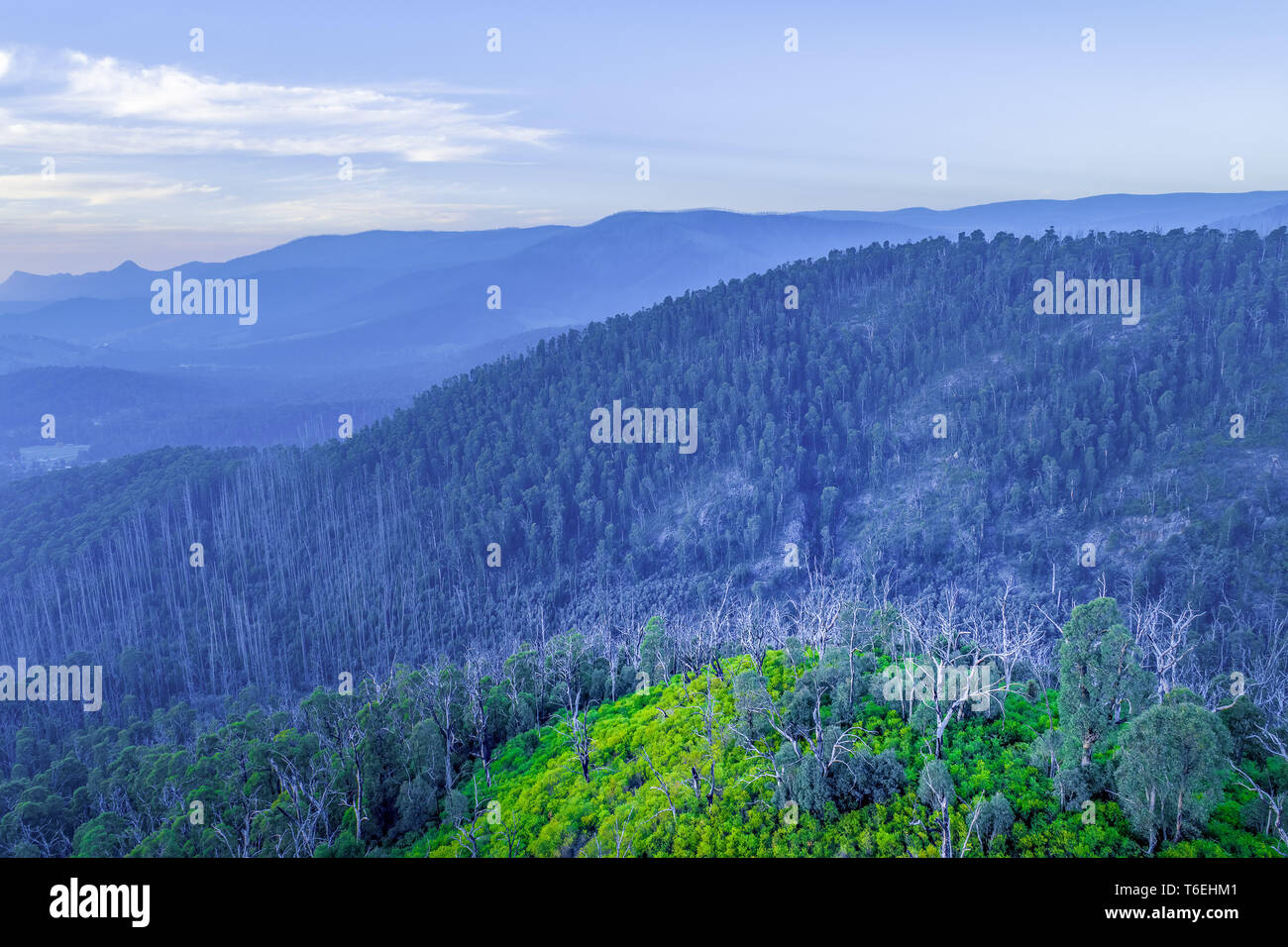 Die bewaldeten Hügel und Berge Silhouetten in der Dämmerung Stockfoto