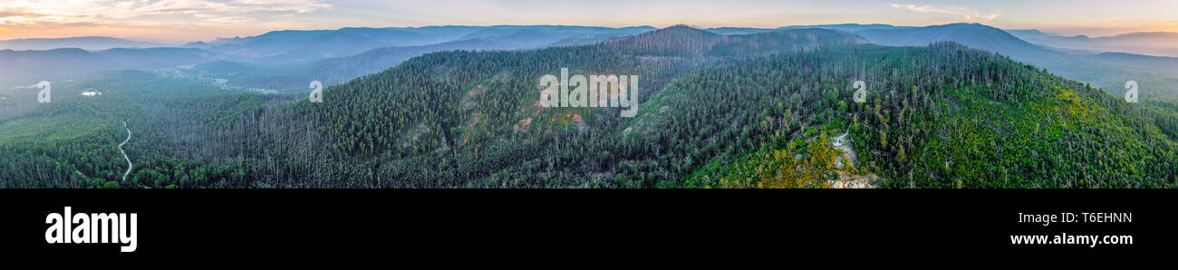 Breite Antenne Panorama der bewaldeten Hügel und Berge bei Sonnenuntergang in der Nähe von Marysville, Victoria, Australien Stockfoto