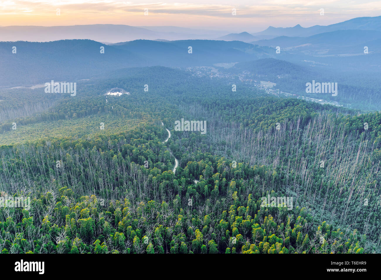 Einen malerischen Sonnenuntergang über den Bergen mit der Straße durch den Wald in Australien vorbei - Luftbild Stockfoto