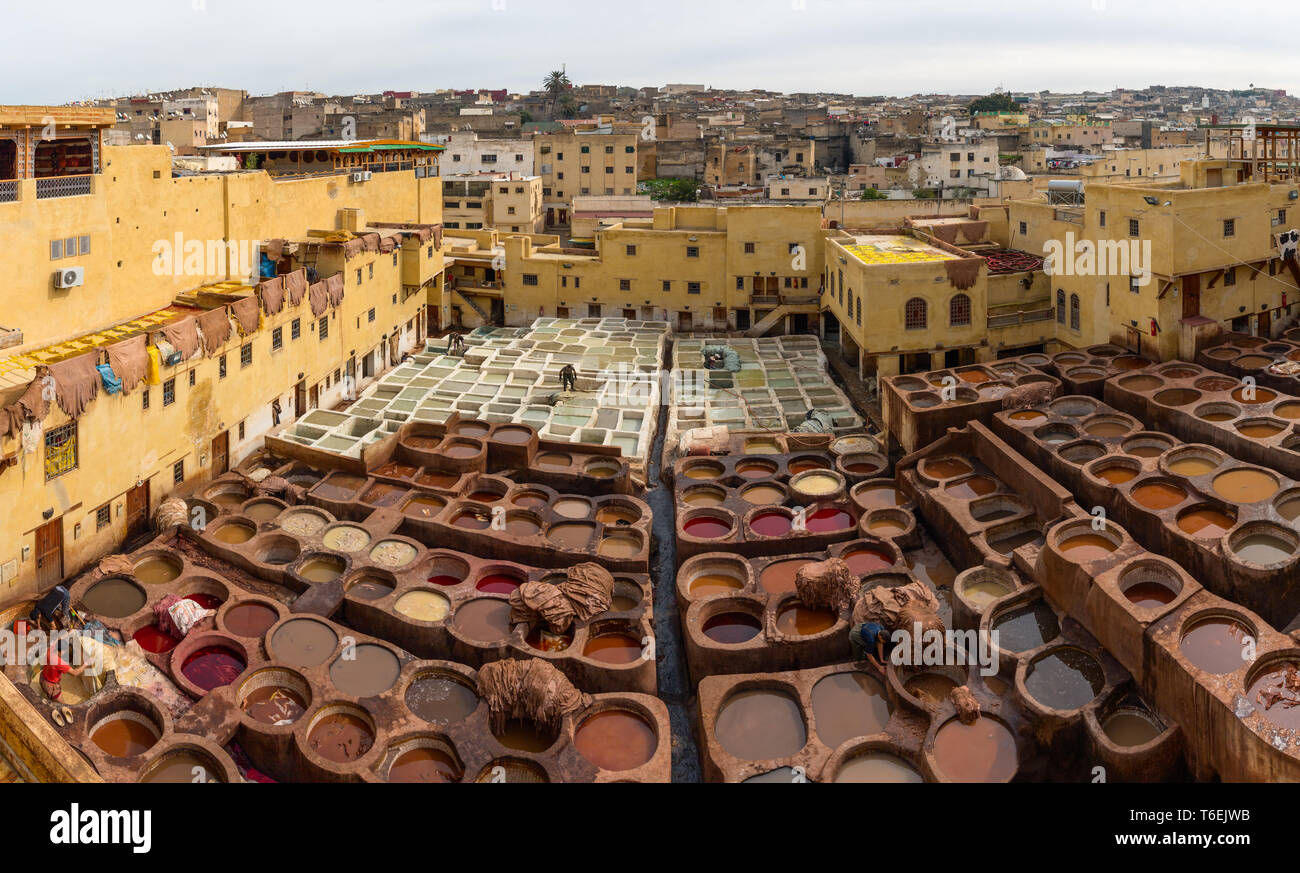 Gerbereien in Fes, Marokko, Afrika Stockfoto