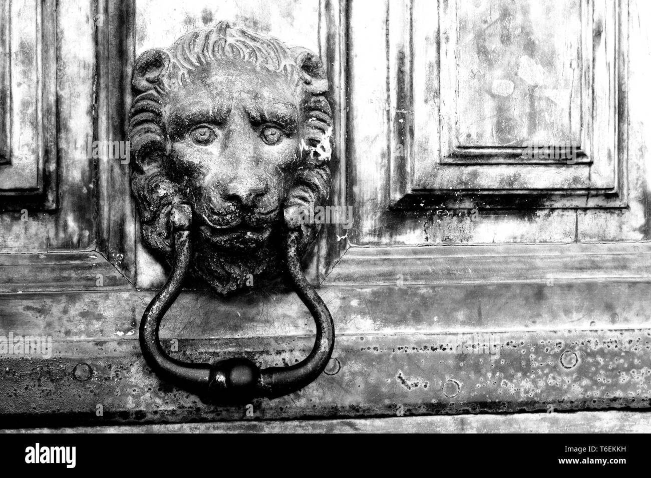 Close-up aus Messing türklopfer Darstellung eines Löwen Stockfoto