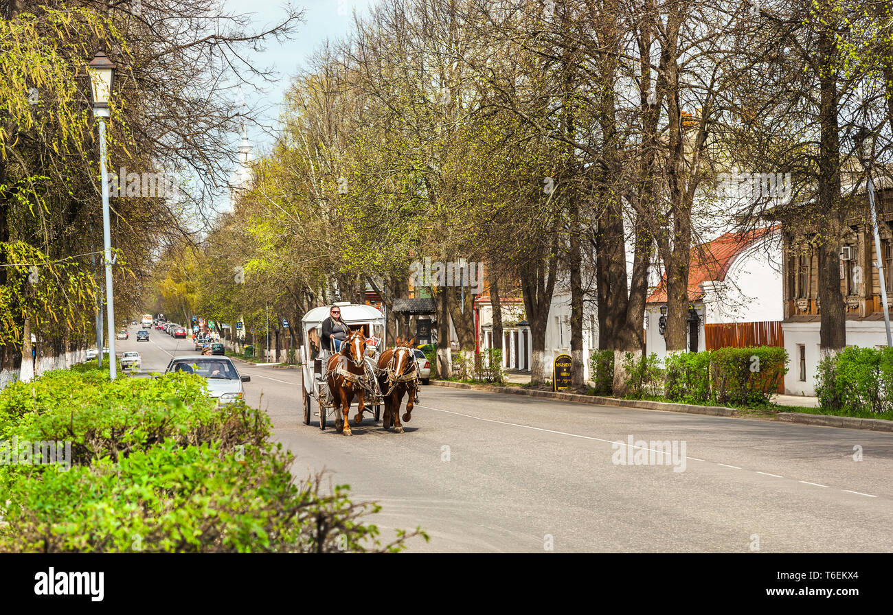 Pferdekutsche in Vohenstrauss Stockfoto