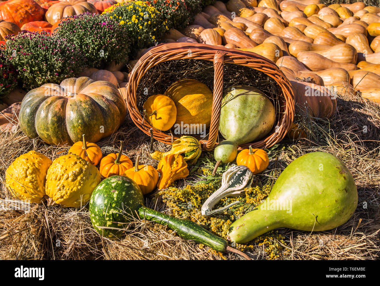 Herbst Hintergrund Stockfoto