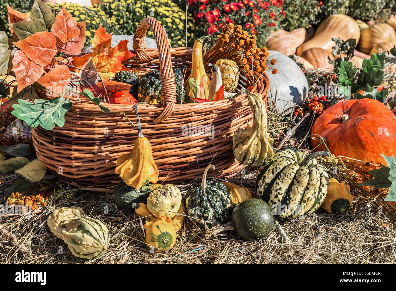 Herbst Hintergrund Stockfoto