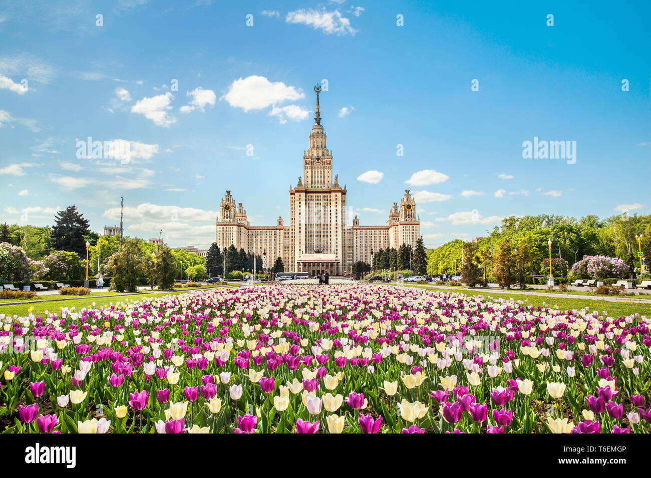 Hauptgebäude der Moskauer Staatliche Lomonossov-Universität Stockfoto