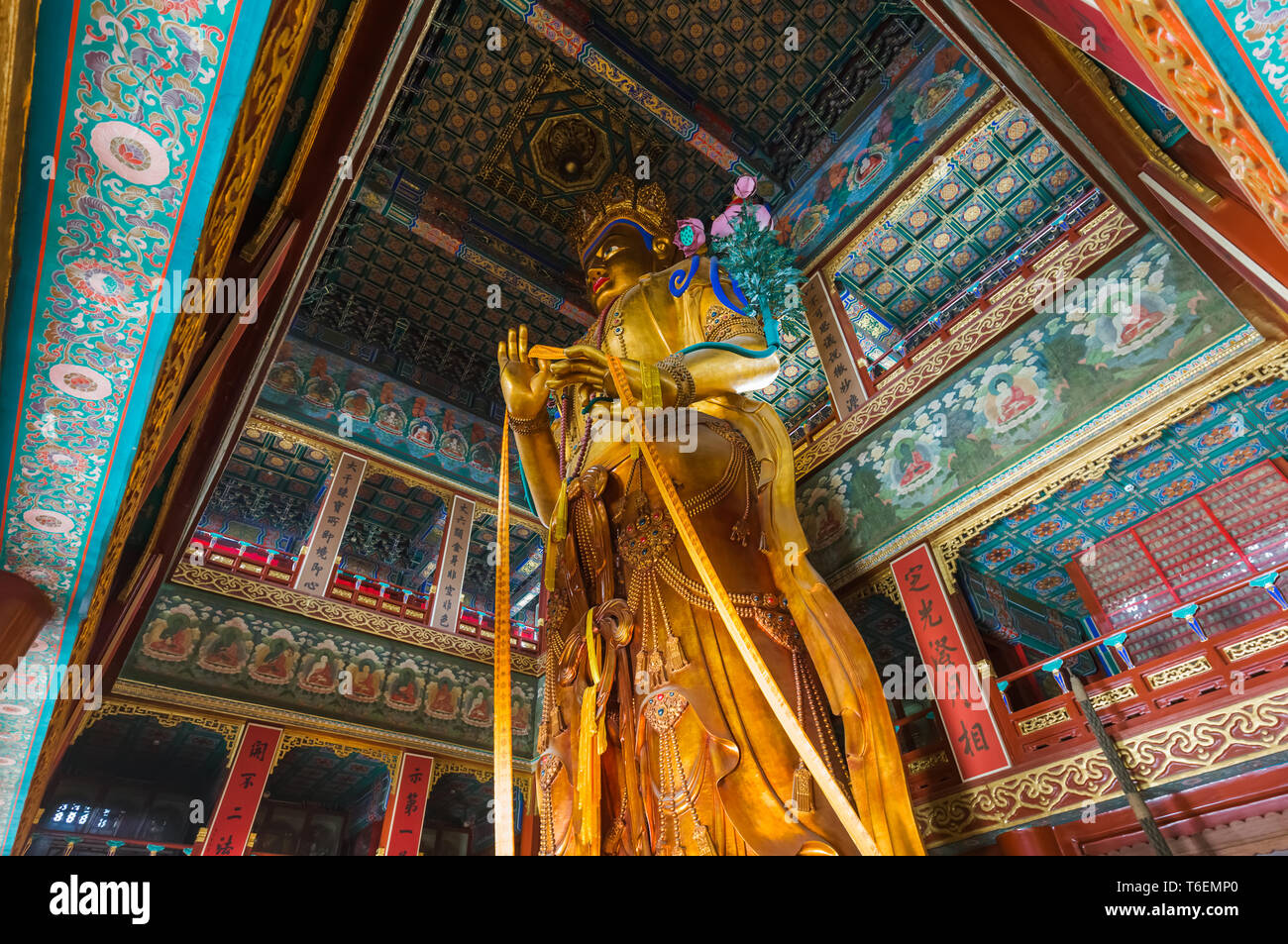 Giant Buddha in Lama Yonghe Tempel in Peking, China Stockfoto