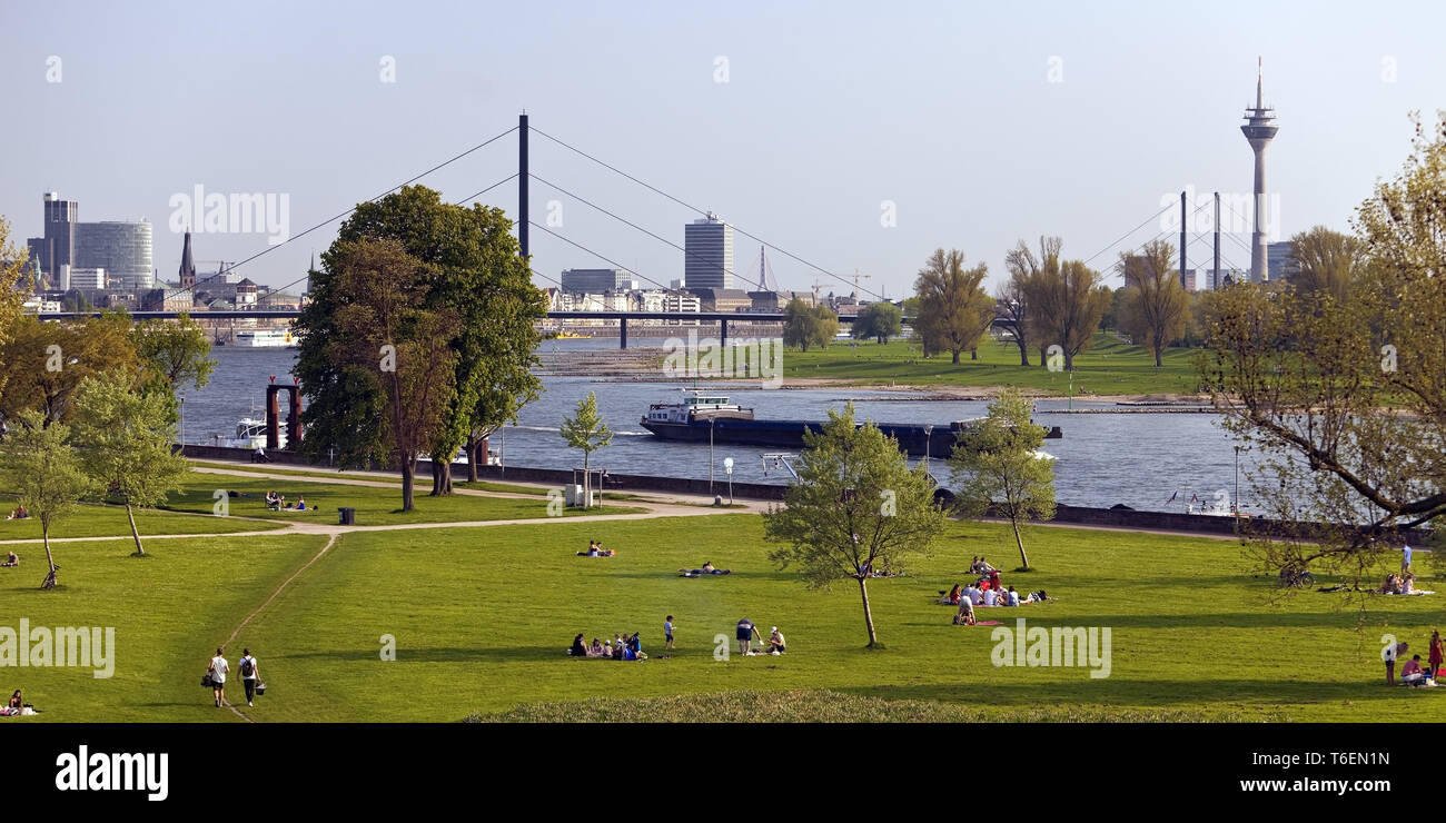 Der Blick vom Rheinpark Golzheim auf Schiffe auf dem Rhein und der Stadt, Düsseldorf, Deutschland, Europa Stockfoto