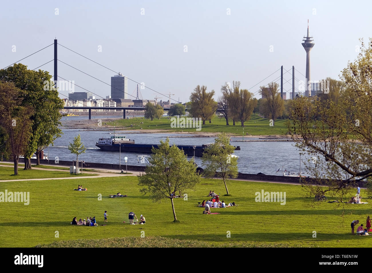 Der Blick vom Rheinpark Golzheim auf Schiffe auf dem Rhein und der Stadt, Düsseldorf, Deutschland, Europa Stockfoto