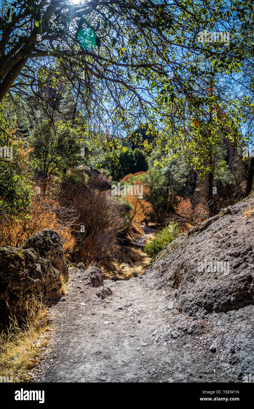 Einen herrlichen Blick auf forestal Landschaft in Pinnacle National Park Stockfoto