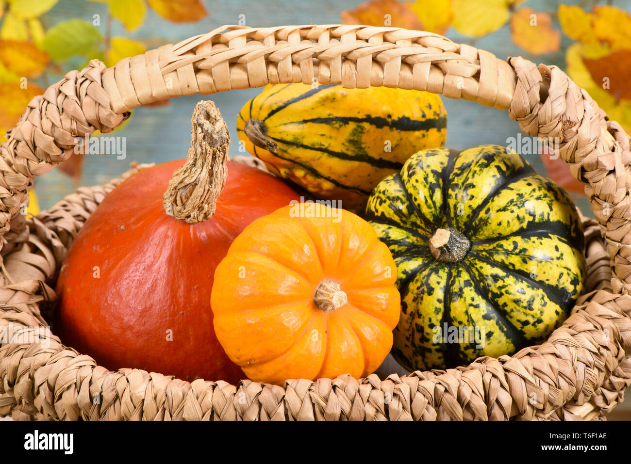 Herbstdekoration mit Kürbis und Blättern Stockfoto Herbstdekoration mit Kürbis und Blättern Stockfoto