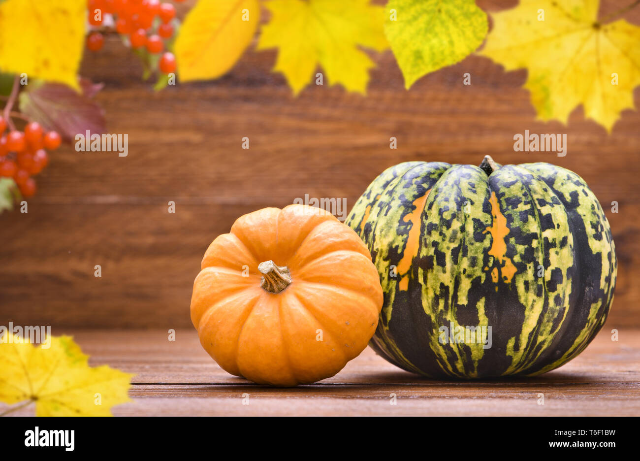 Herbstdekoration mit Kürbis und Blättern Stockfoto Herbstdekoration mit Kürbis und Blättern Stockfoto