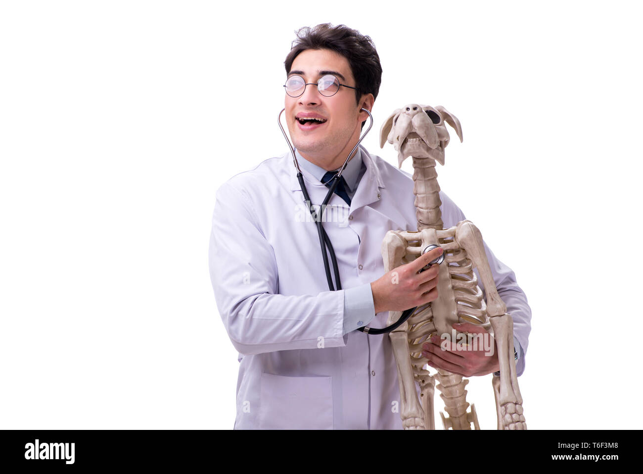 Arzt mit Hund Skelett auf weißem Hintergrund Stockfoto