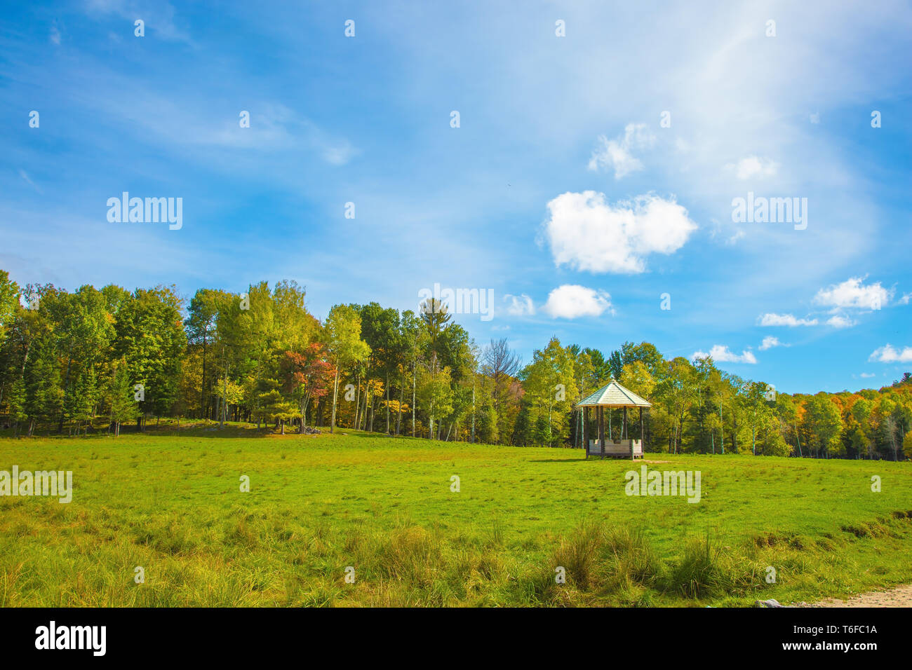 Safari Park Omega Stockfoto