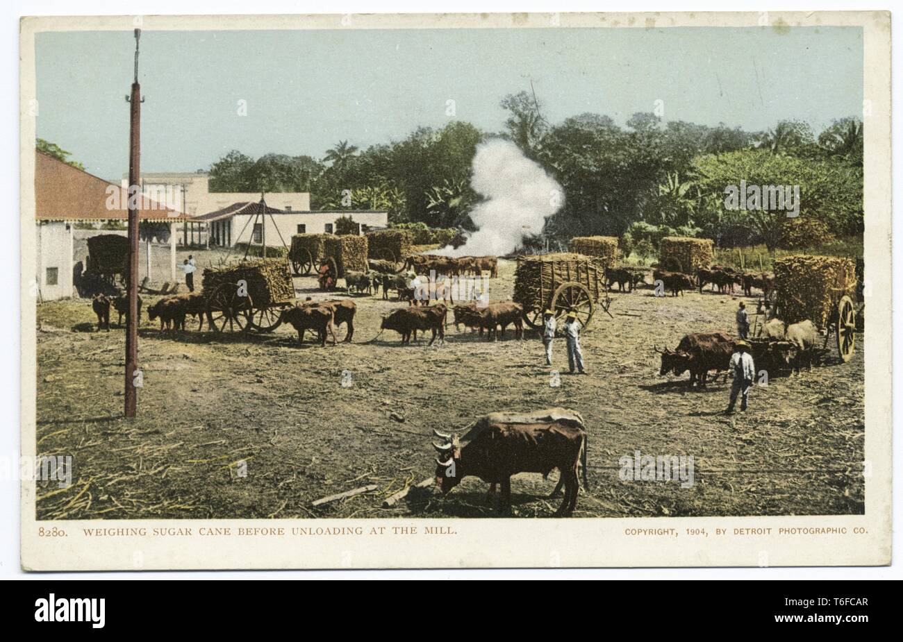 Detroit Publishing Company Ansichtskarte Reproduktion der Arbeiter mit einem Gewicht von Zuckerrohr vor dem Entladen an der Mühle, Kuba, 1914. Von der New York Public Library. () Stockfoto