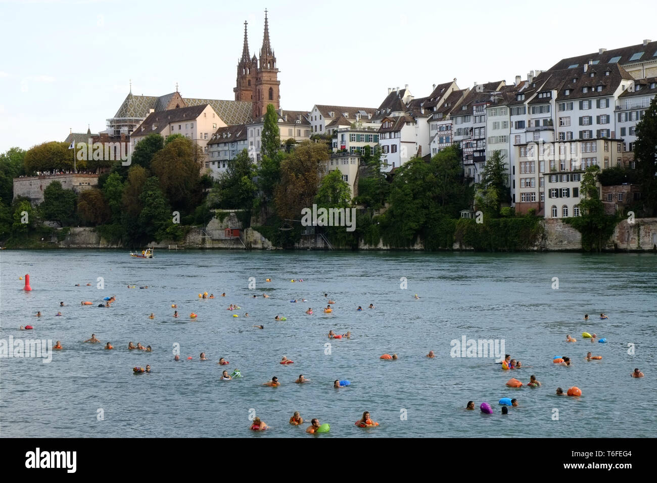 Basler rheinschwimmen -Fotos und -Bildmaterial in hoher Auflösung – Alamy