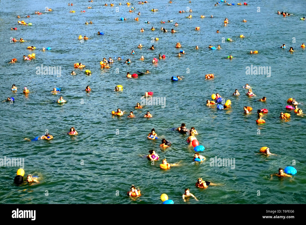 Rhein Schwimmen Stockfoto