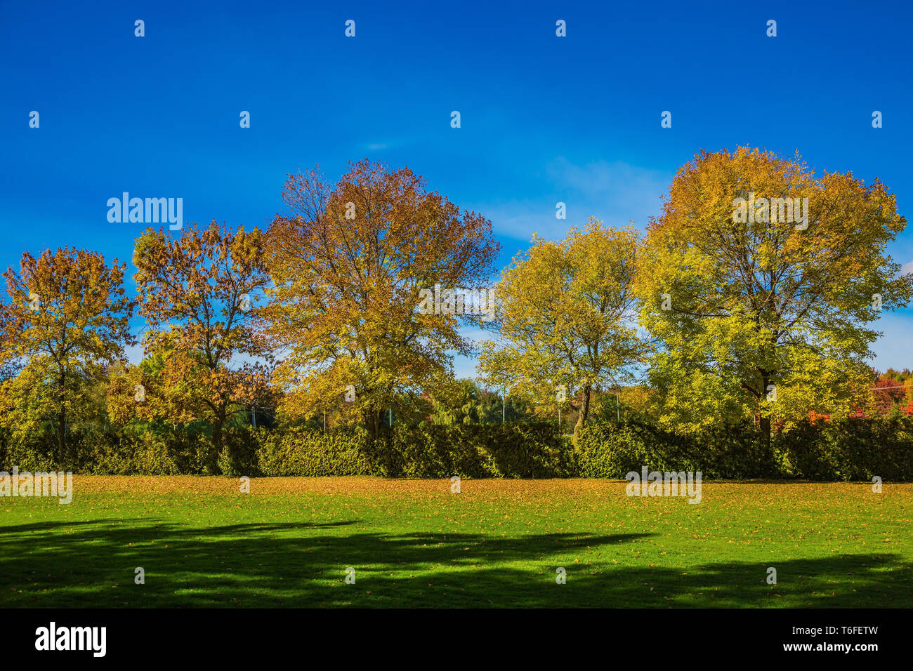 Schönen sonnigen Tag Stockfoto