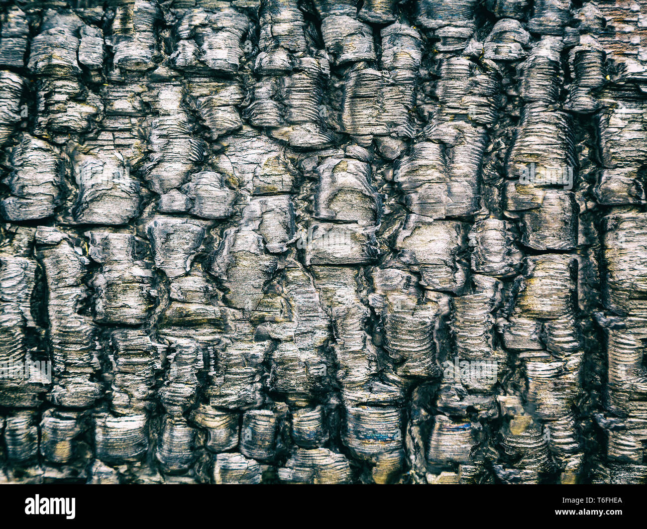 Gebranntes Holz Stockfotos Und Bilder Kaufen Alamy