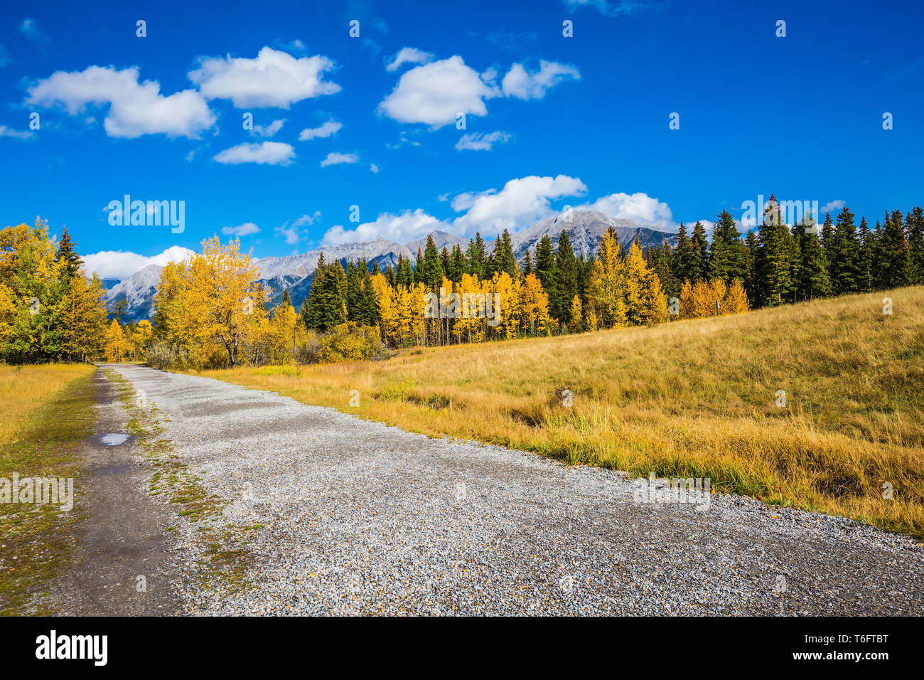 Zu Fuß zu einem Dirt Trail im Park Stockfoto