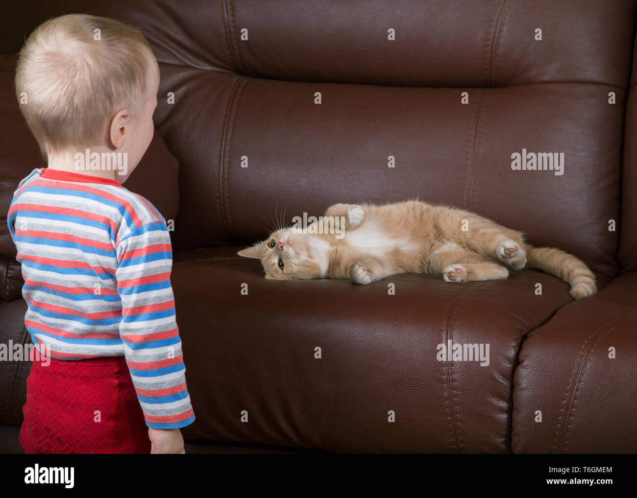 Little Boy und Katze schauen sich an Stockfoto