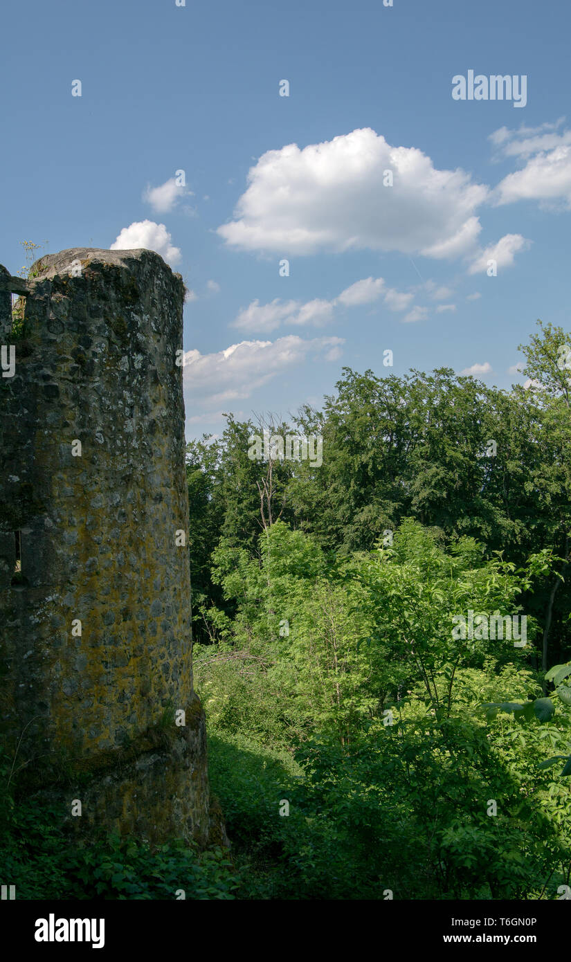 Alte Ruine der Burg Weidelsburg Stockfoto