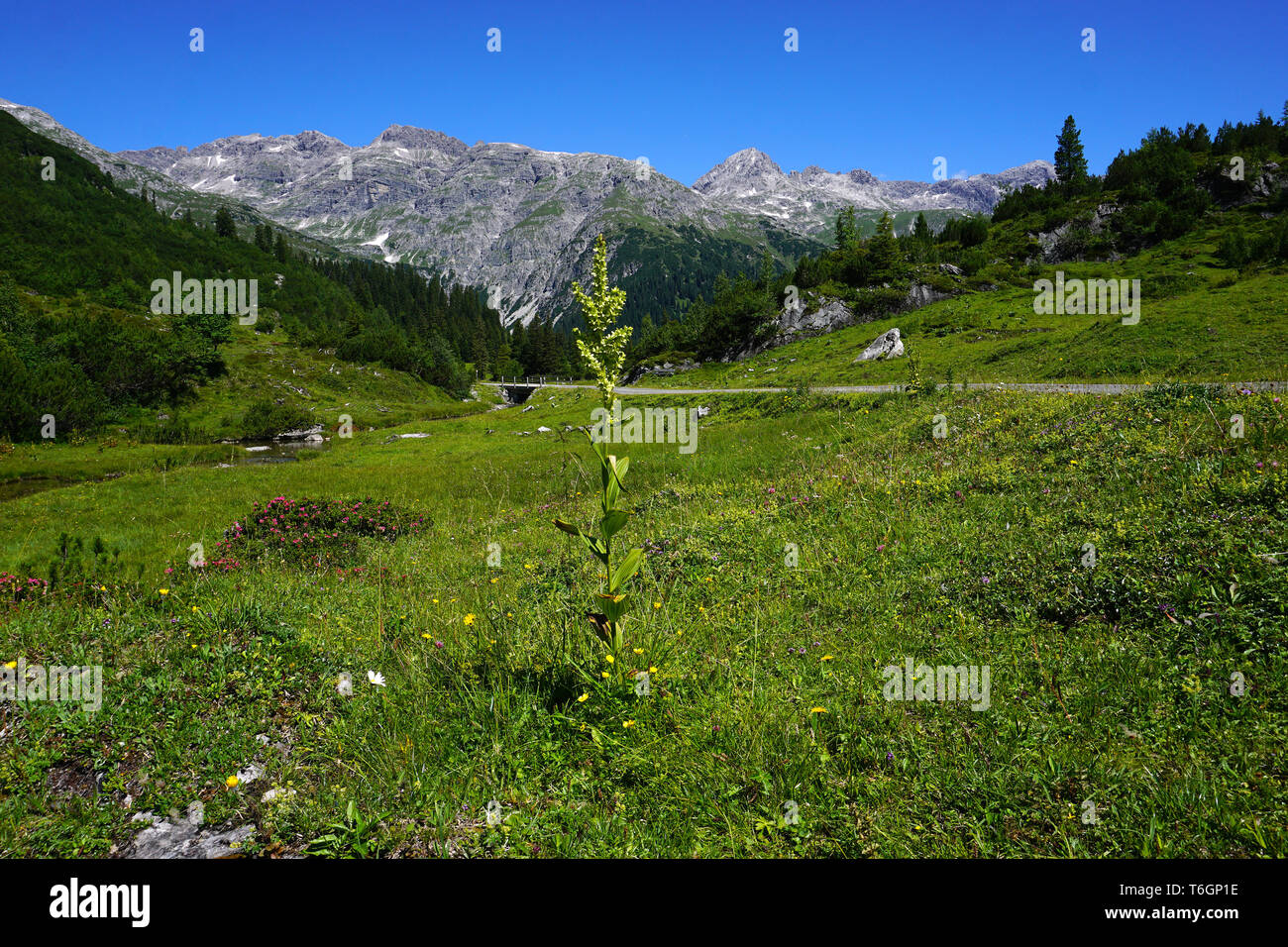 Alpine Landschaft, Österreich, Vorarlberg, Europa Stockfoto
