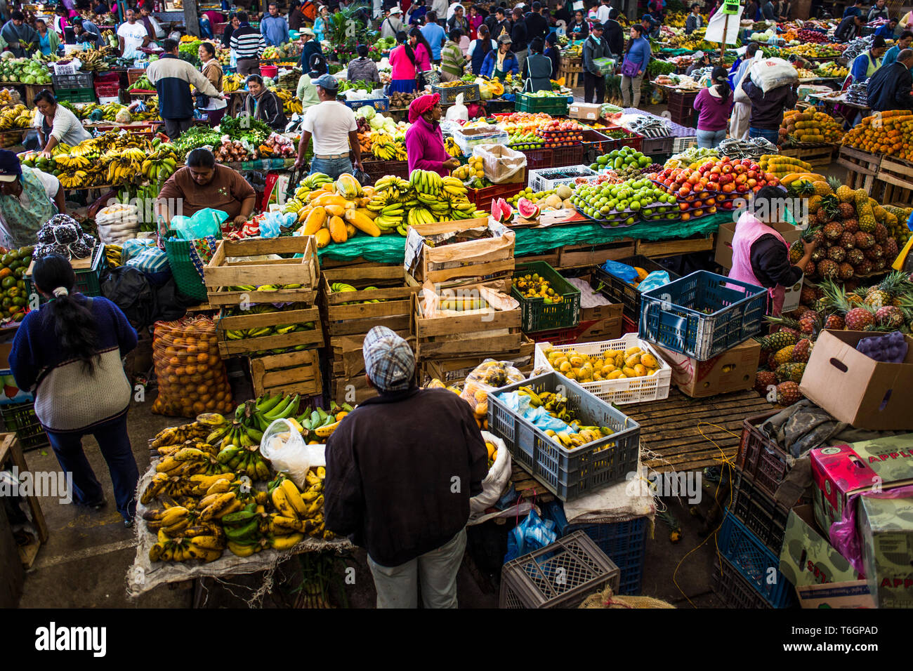 Menschen und Früchten auf Dienstag Markt in Popayan Stockfoto