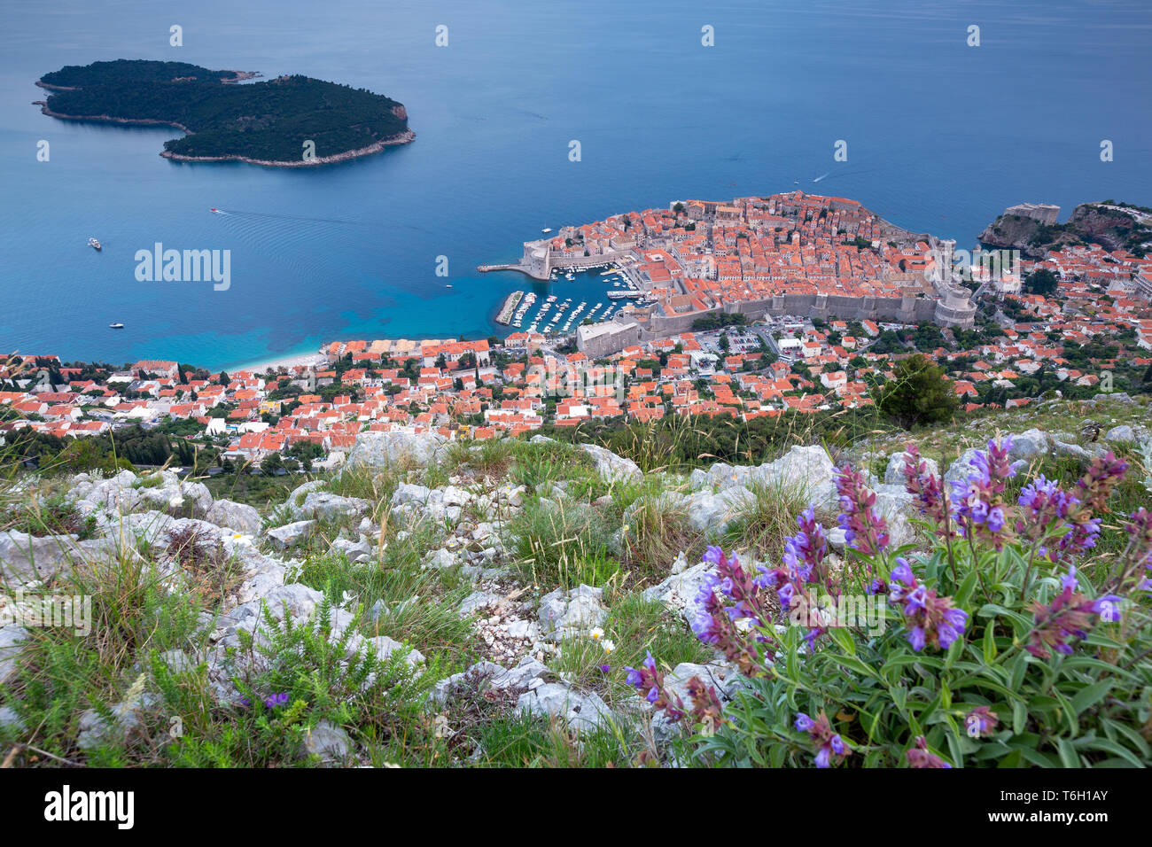 Blumen und Felsen. Blick auf Dubrovnik, Altstadt, Blick von der Spitze des Sergio Hügels. Dalmatien. Kroatien. Europa Stockfoto