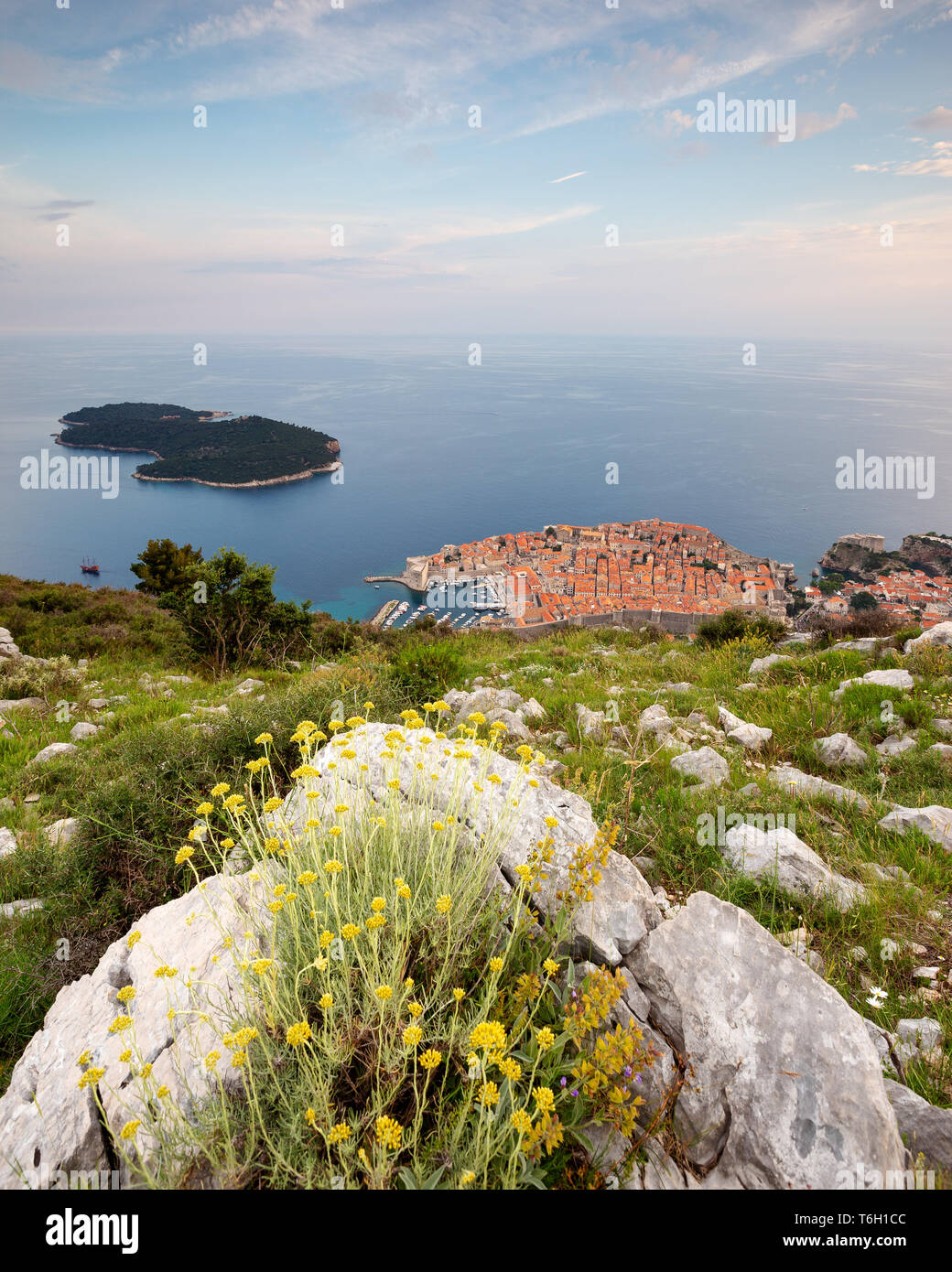 Gelbe Blumen und Felsen. Blick auf Dubrovnik, Altstadt, Blick von der Spitze des Sergio Hügels. Dalmatien. Kroatien. Europa Stockfoto