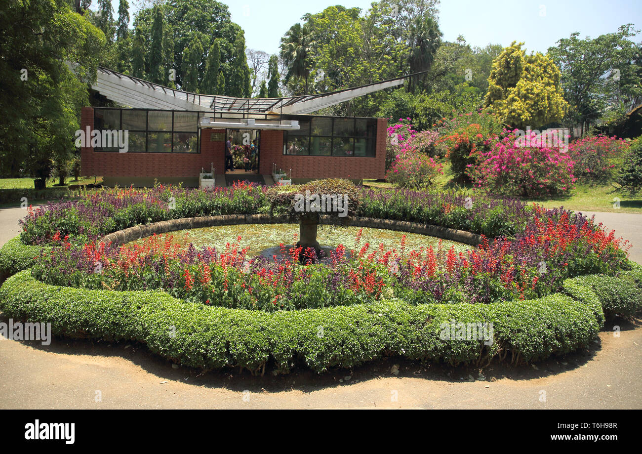 Die Royal Botanic Gardens in Kandy Sri Lanka Stockfoto