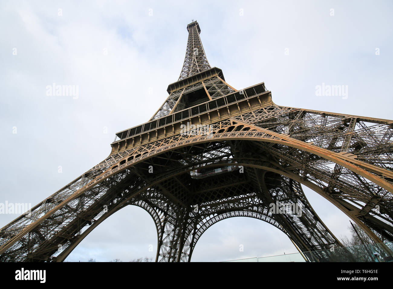 Der Eiffelturm, Wahrzeichen von Paris, auf dem Champ de Mars in Paris, Frankreich Stockfoto