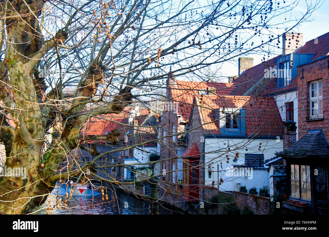 Häuser in der Nähe der Grachten des Flusses Reie in Brügge. Brügge ist eine wunderbare, romantische Stadt in Belgien, einem der Benelux Länder in Europa. Stockfoto