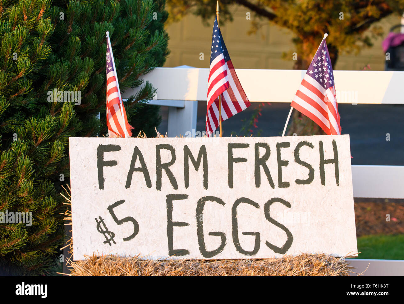 Stolz amerikanische Landwirte patriotisch Verkauf von frischen Eiern auf dem Bauernhof am Straßenrand in zentralen Oregon Stockfoto