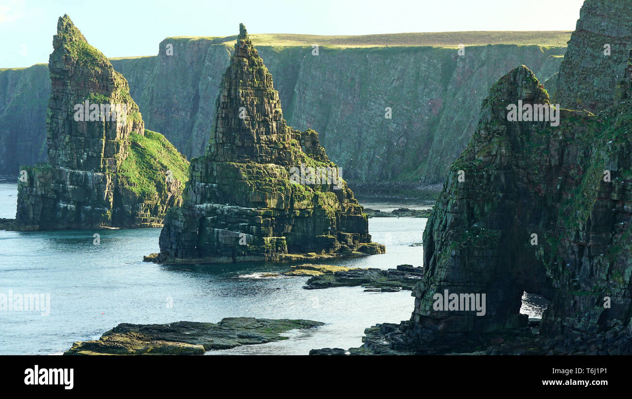Die "uncansby Stacks" an der Küste von Aberdeenshire, Schottland, Großbritannien Stockfoto