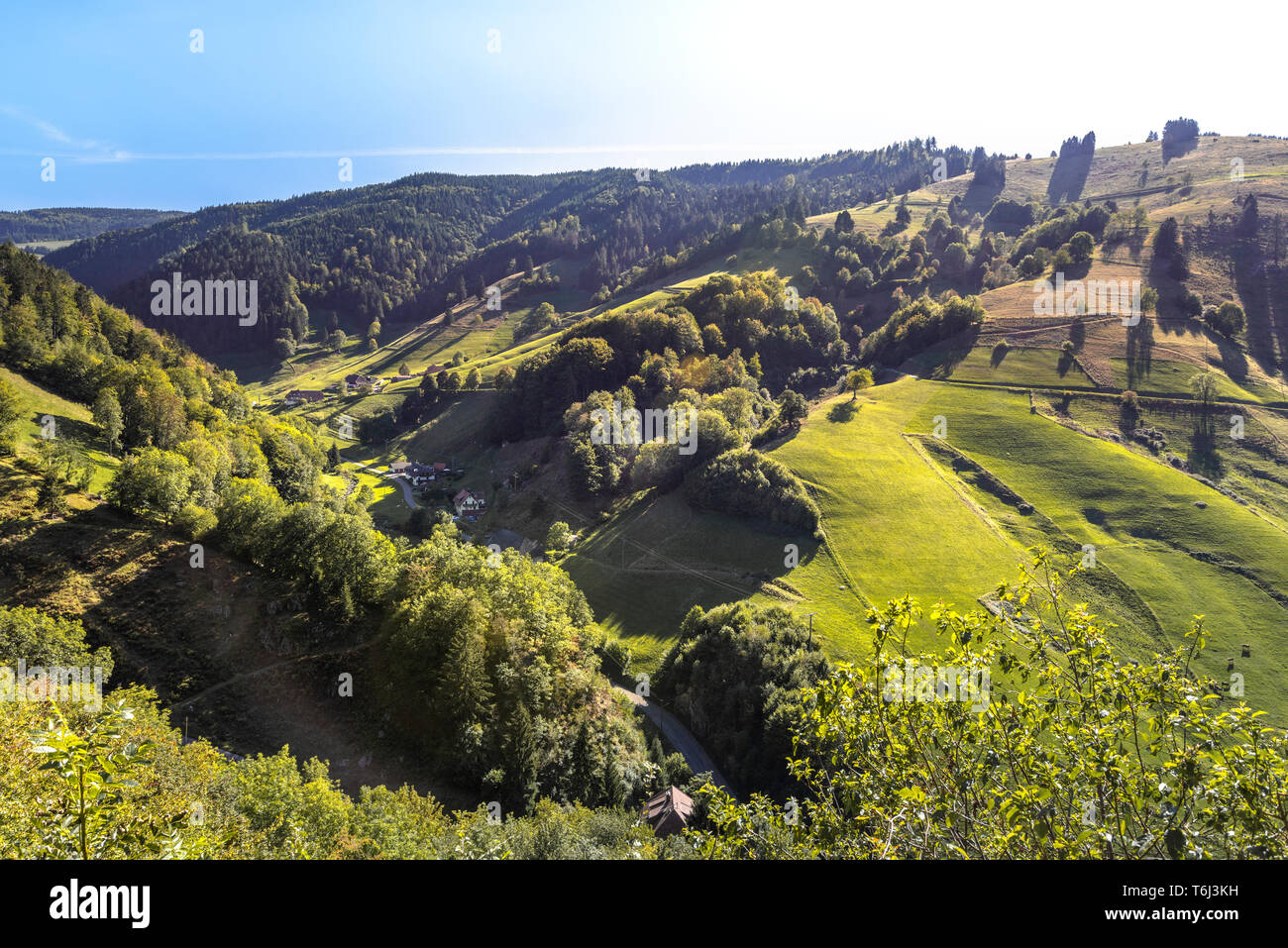 Grünen Wiesen des Tales Münstertal mit vielen Weilern, Zinken und Bauernhöfe, Südschwarzwald, Deutschland, Münstertal/Schwarzwald Stockfoto