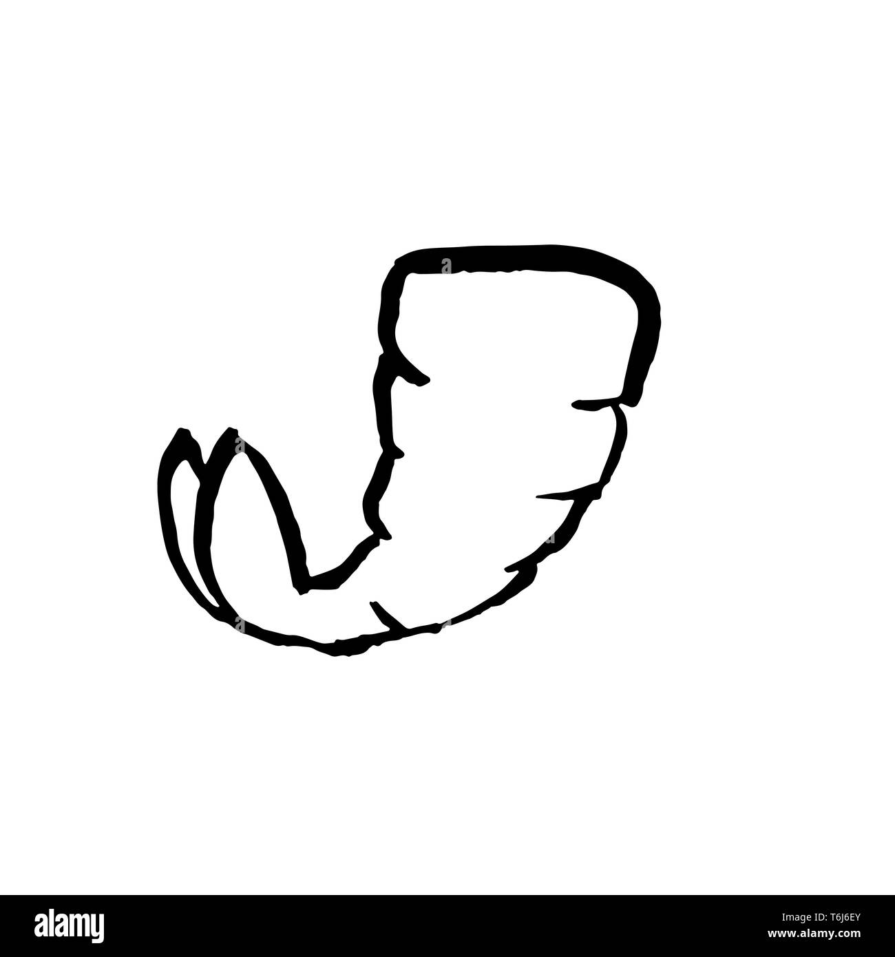 Headless Garnelen grunge Symbol. Vektor Pinsel Abbildung. Stock Vektor