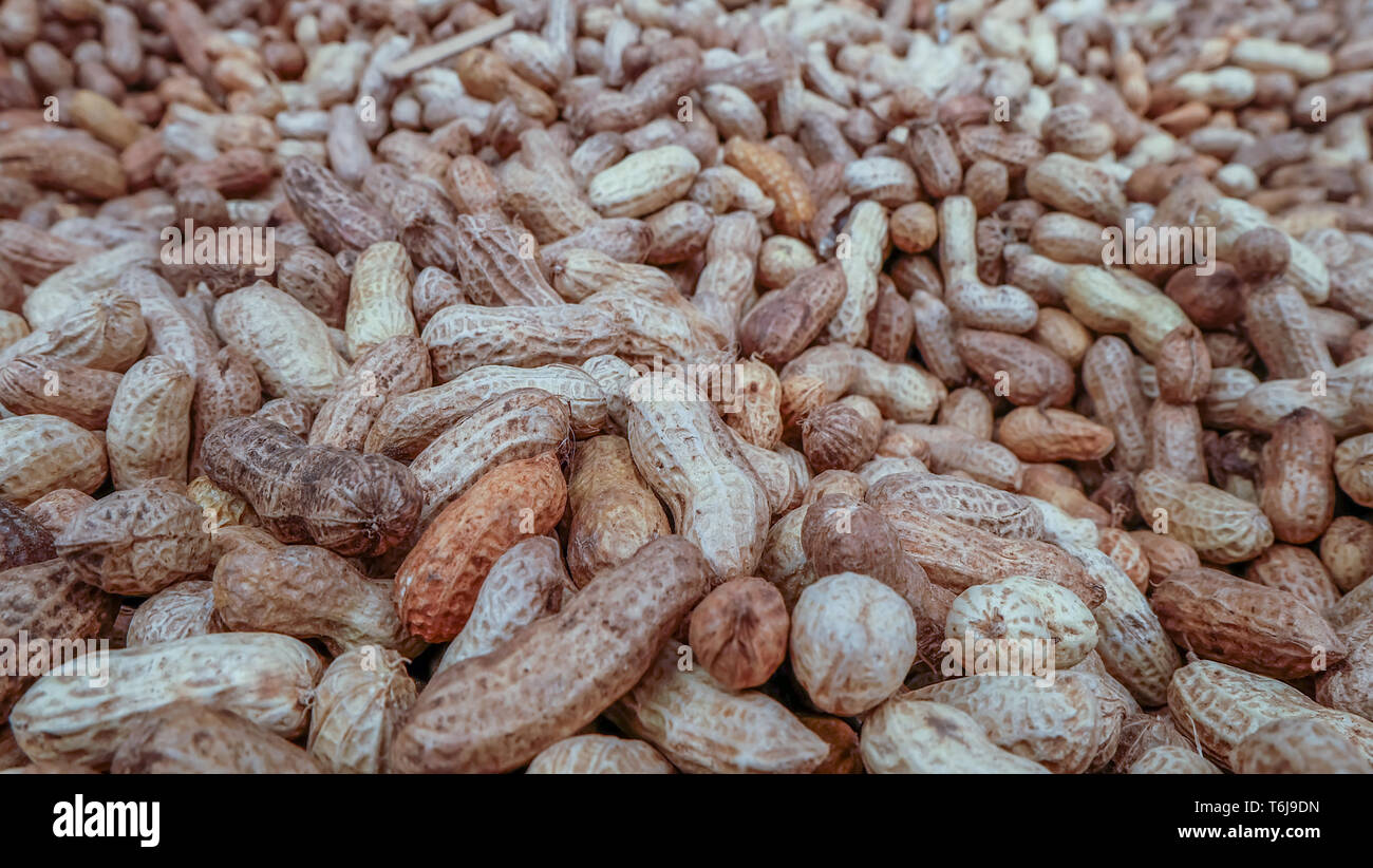 Erdnüsse in einer Shell Textur. essen Hintergrund der Erdnüsse. Stockfoto