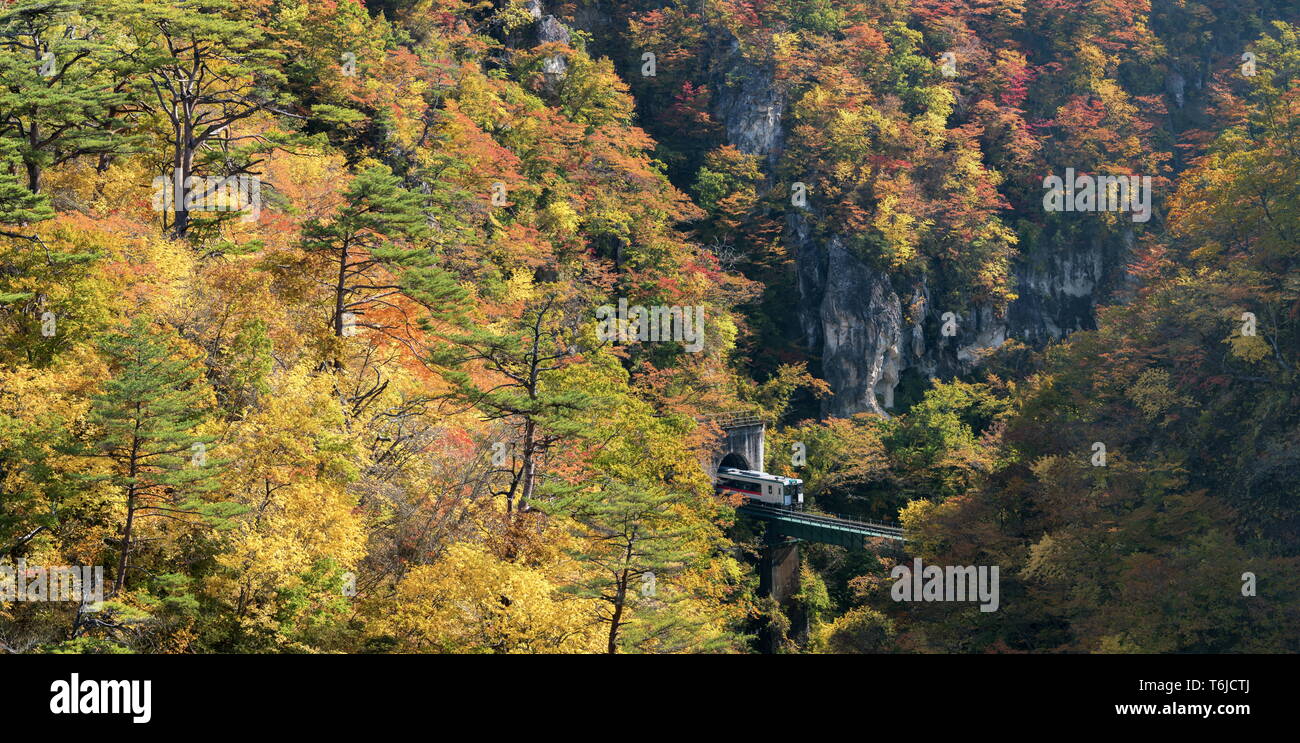 Naruko Schlucht Tal mit Eisenbahntunnel Miyagi Tohoku Japan Stockfoto