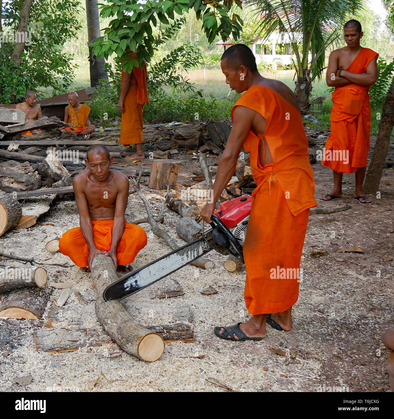 Buddhistische Mönche in Safranroben Schnittholz mit einer Kettensäge. Kampong Thom, Kambodscha, 20-12-2018 Stockfoto