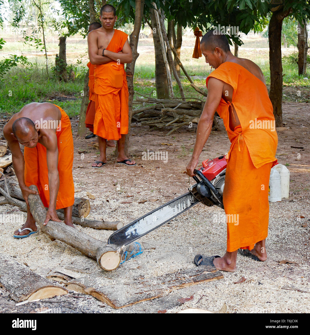Mönche in Safranroben Schnittholz mit einer Kettensäge. Kampong Thom, Kambodscha, 20-12-2018 Stockfoto
